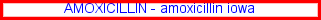 kent amoxicillin, generic amoxicillin price